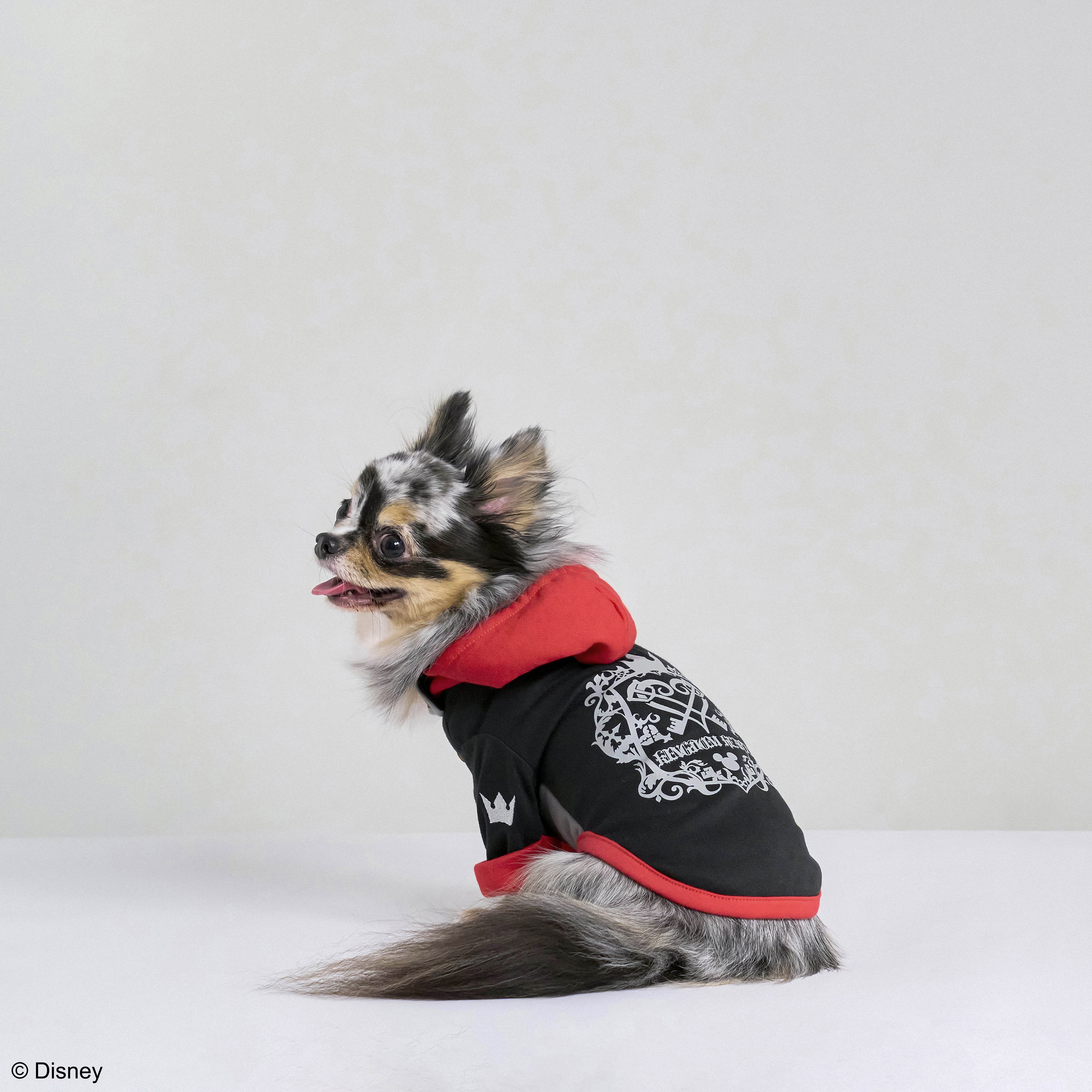 Kingdom Hearts Pets Dogwear Sora: SQUARE ENIX - Tokyo Otaku Mode (TOM)