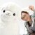 super jumbo alpacasso
