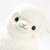 super jumbo alpacasso
