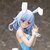 infinite stratos bunny