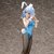 infinite stratos bunny