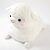 super jumbo alpacasso