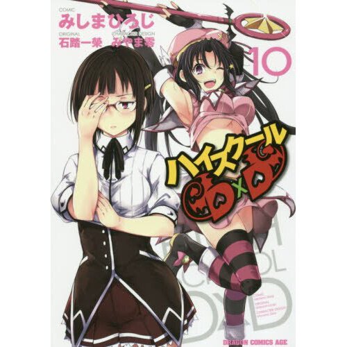 10 Manga Like High School DxD DX (Light Novel)