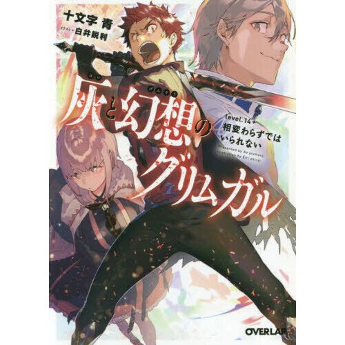 Light Novel Volume 14/Illustrations