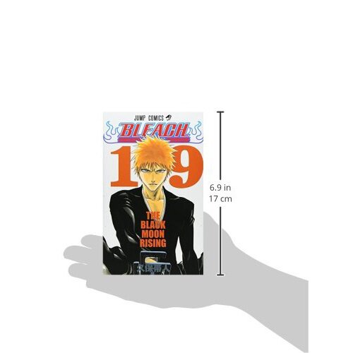 BLEACH Manga Volume 19