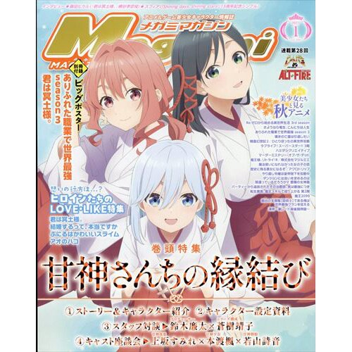 Megami Magazine January 2025 - Tokyo Otaku Mode (TOM)