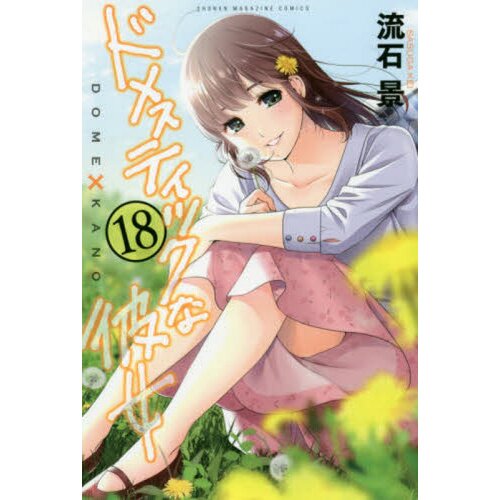 Japanese Anime Domestic Lover Stand Domestic Girlfriend Natsuo