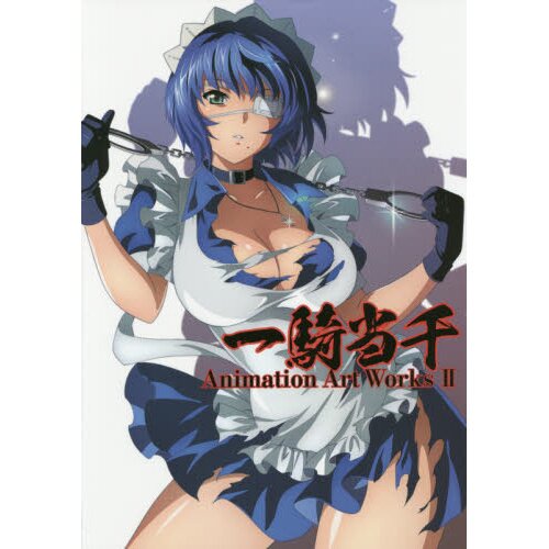 Ikki Tousen Shin Ikkitousen Anime Goods From Japan