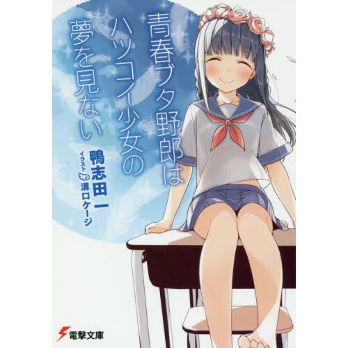 Seishun Buta Yarou wa My Student no Yume wo Minai – Japanese Book