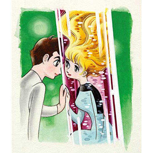 Phoenix All-Color Illustration Book [Collector's Edition]: Osamu