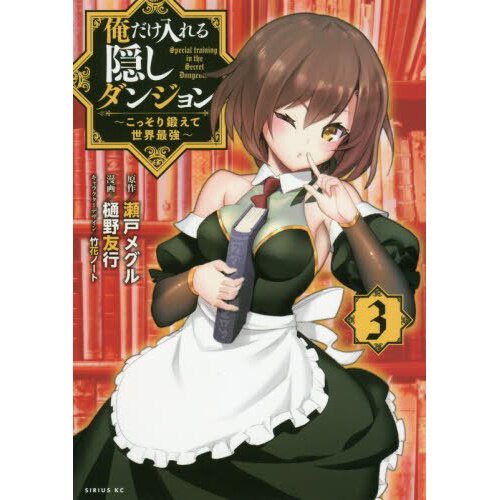 The Hidden Dungeon Only I Can Enter (Light Novel) Vol. 2 : Seto