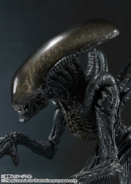 S.H.MonsterArts Alien vs. Predator Alien Warrior - Tokyo