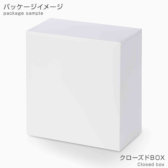 Re:Zero] Ram: Pretty Princess Ver. Super Premium Figure: Sega