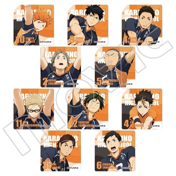 Haikyuu!! Karasuno High School vs Shiratorizawa Academy Anime