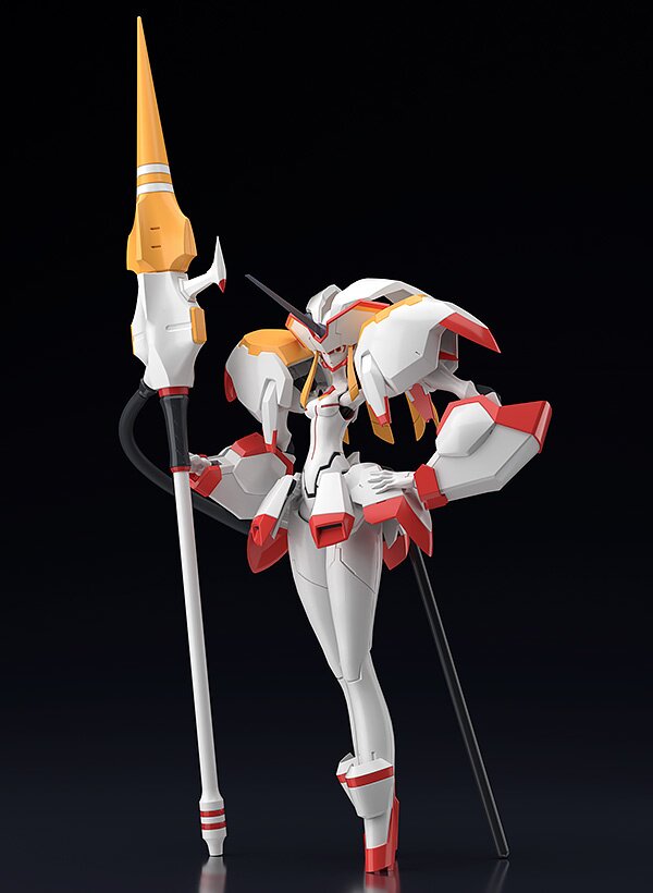 moderoid strelitzia