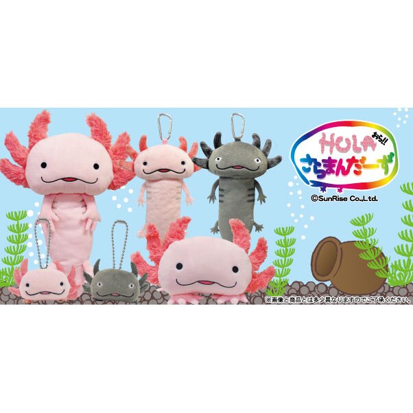 Hola Salamanders Plush Collection - Tokyo Otaku Mode (tom)