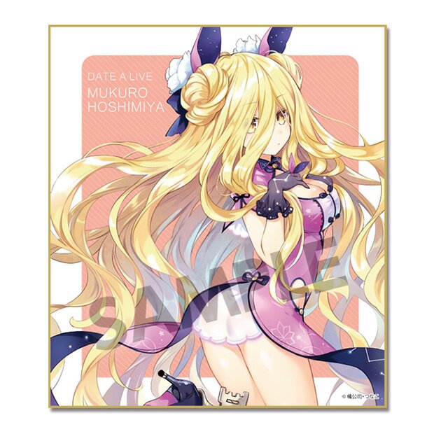 Date A Live Mini Shikishi Board Collection Vol. 5 Box Set: Hobby Stock -  Tokyo Otaku Mode (TOM)