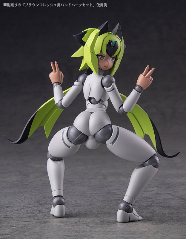 l*o様 MEDICOMTOYBOTANIZEPachypodium Graci VCD Pachypodium Gracilius BOTANIZE セット MEDICOM TOY - VCD