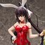 IS <Infinite Stratos> Houki Shinonono: Bunny Ver.