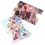 Vocaloid Clear Files