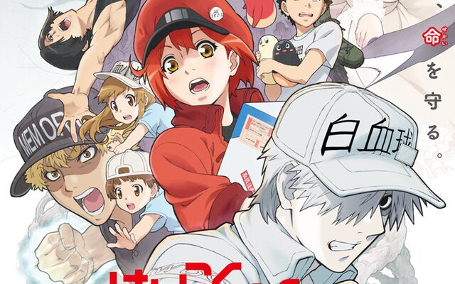 Hataraku saibou BLACK 7 Japanese comic manga anime Cells at Work! Akane  Shimizu