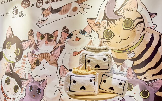 Chill with Team Natsu at Fairy Tail Cafe! [Photo Report], Featured News