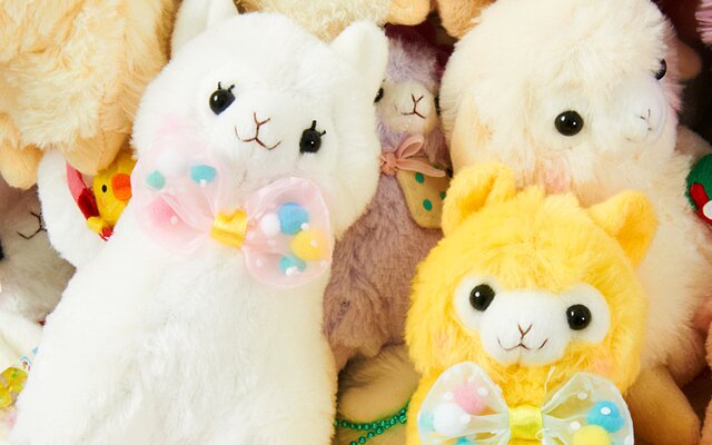 Is it Really REAL?! This Dreamy Alpacasso 100-Plushie Set is ...