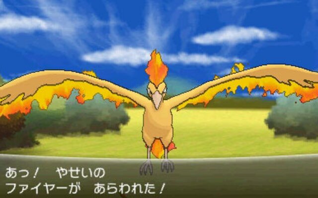 moltres  The Anime Madhouse