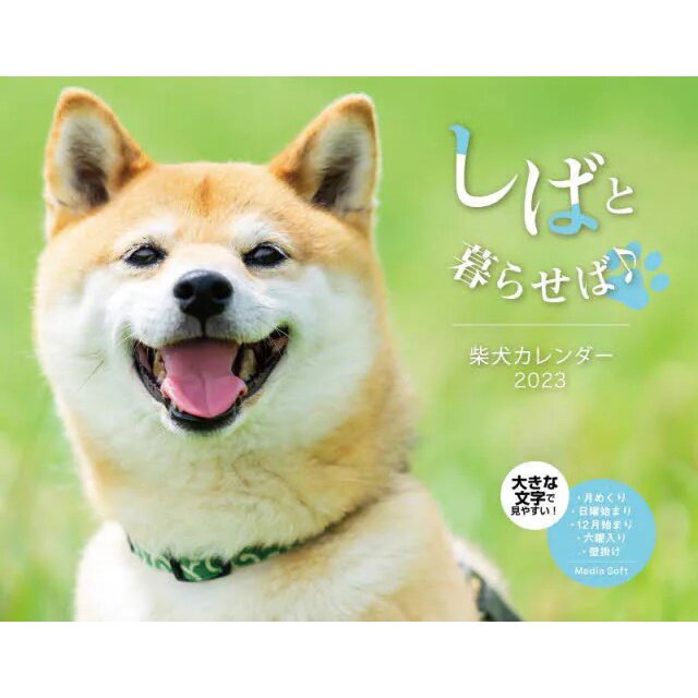 Shibainu+Ryuji+Japanese+Book+KAWAII+Shiba+Dog+Pet+Photo+Japan for sale  online