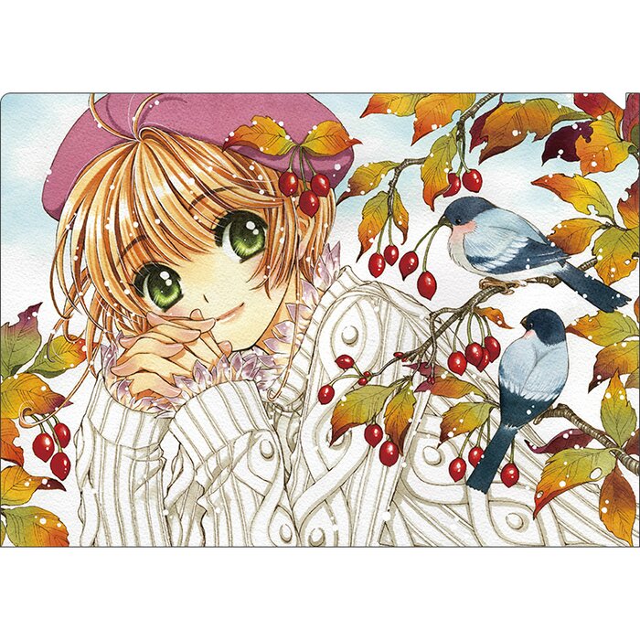 CLAMP 30th Anniversary Clear File Set B: Cardcaptor Sakura & Magic ...