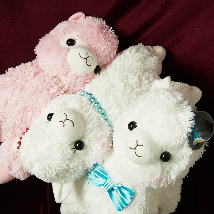 big alpacasso