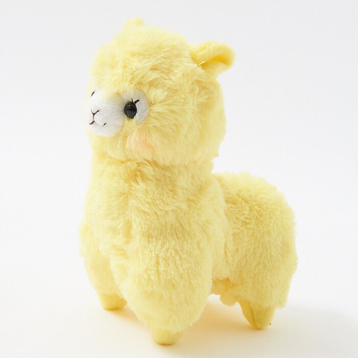 alpacasso rainbow