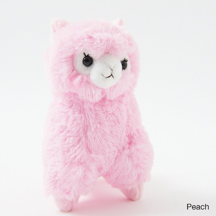 alpacasso rainbow