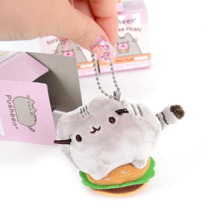 pusheen plush surprise box