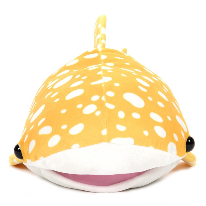 mochi puni shark