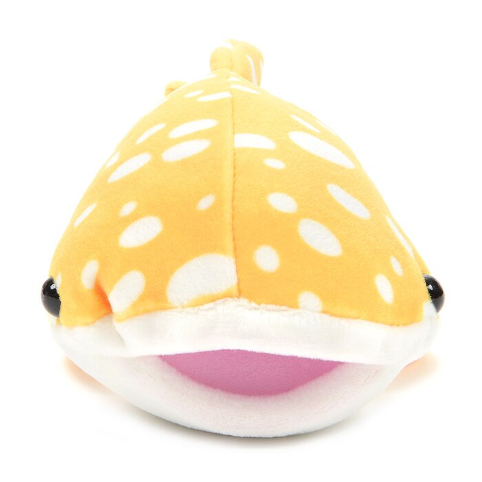 mochi puni shark