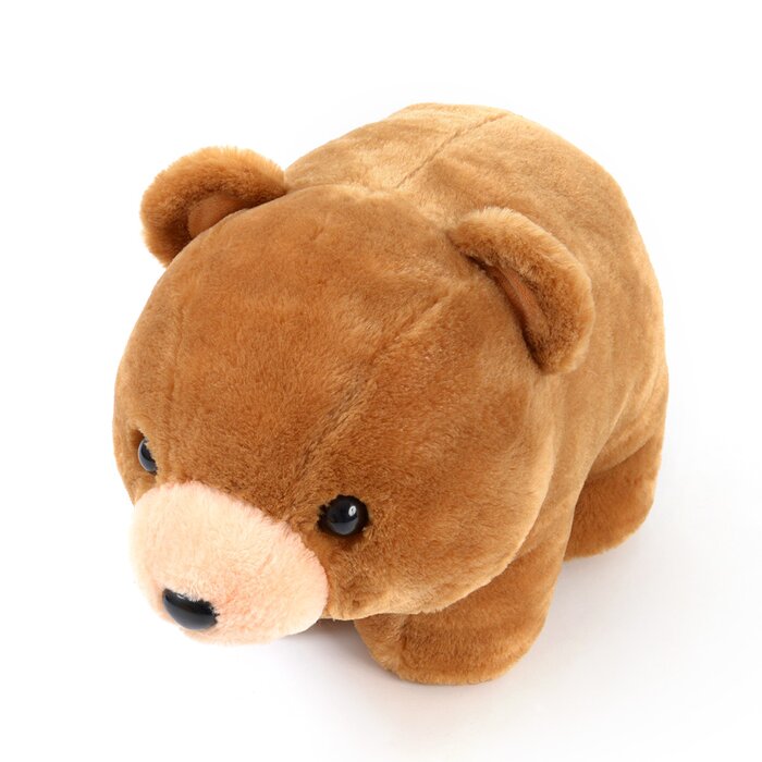 amuse teddy bear