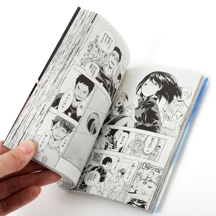 vol.15 Limited Edition W//DVD Haikyuu! JAPAN Haruichi Furudate manga