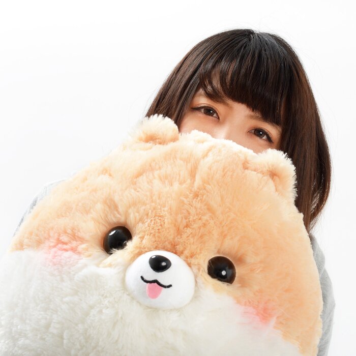 pometan plush