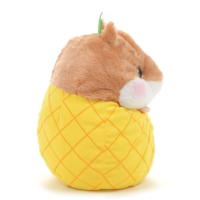 korohamu hamster