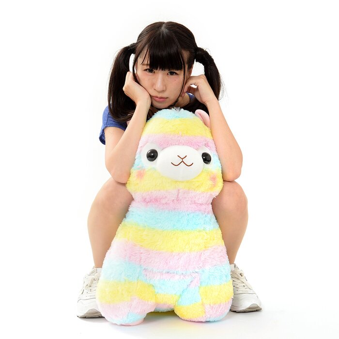 super jumbo alpacasso