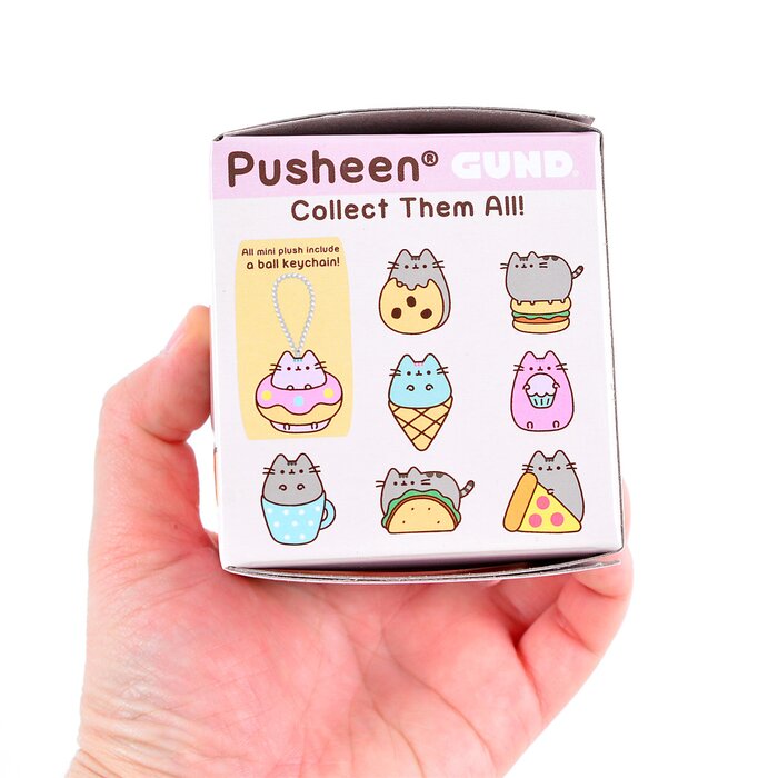 pusheen blind box plush