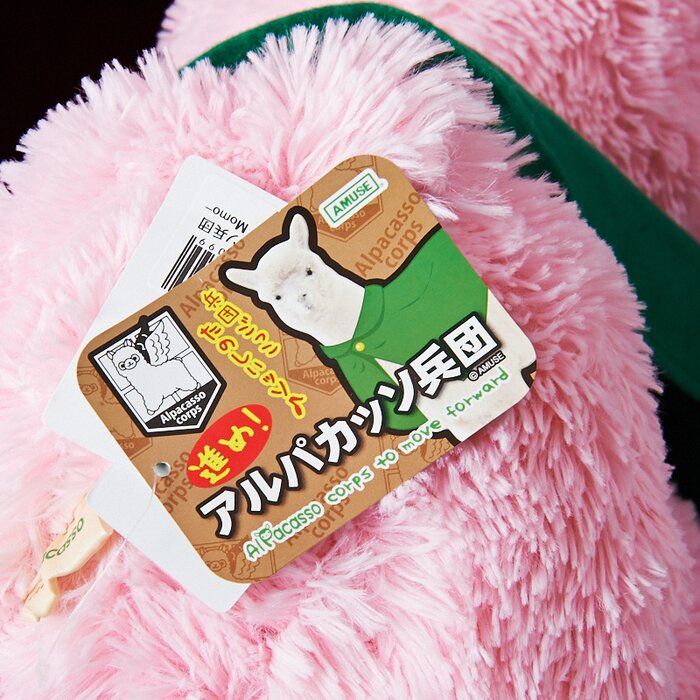 alpacasso corps