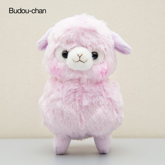 alpacasso collection