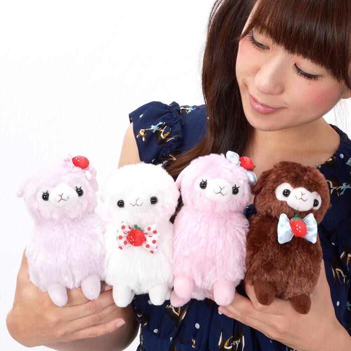 kids alpacasso