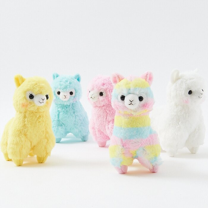 alpacasso rainbow