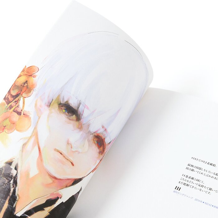 Tokyo Ghoul Zakki Illustration Book 100 OFF Tokyo Otaku Mode (TOM)