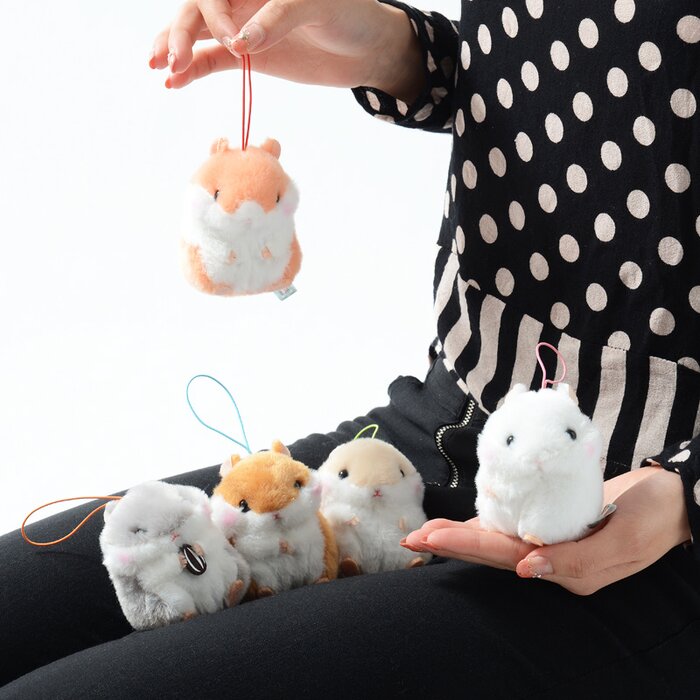 amuse collection hamster