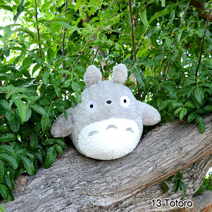 totoro fluffy