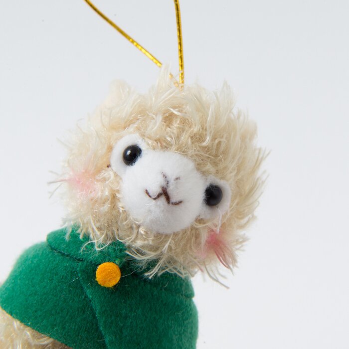 alpacasso corps